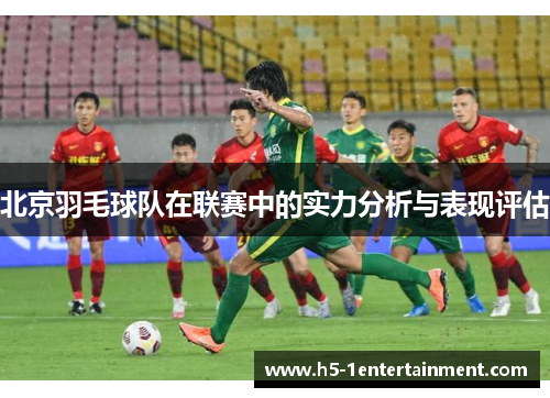 北京羽毛球队在联赛中的实力分析与表现评估