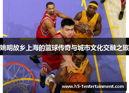 姚明故乡上海的篮球传奇与城市文化交融之旅