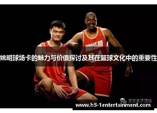 姚明球场卡的魅力与价值探讨及其在篮球文化中的重要性